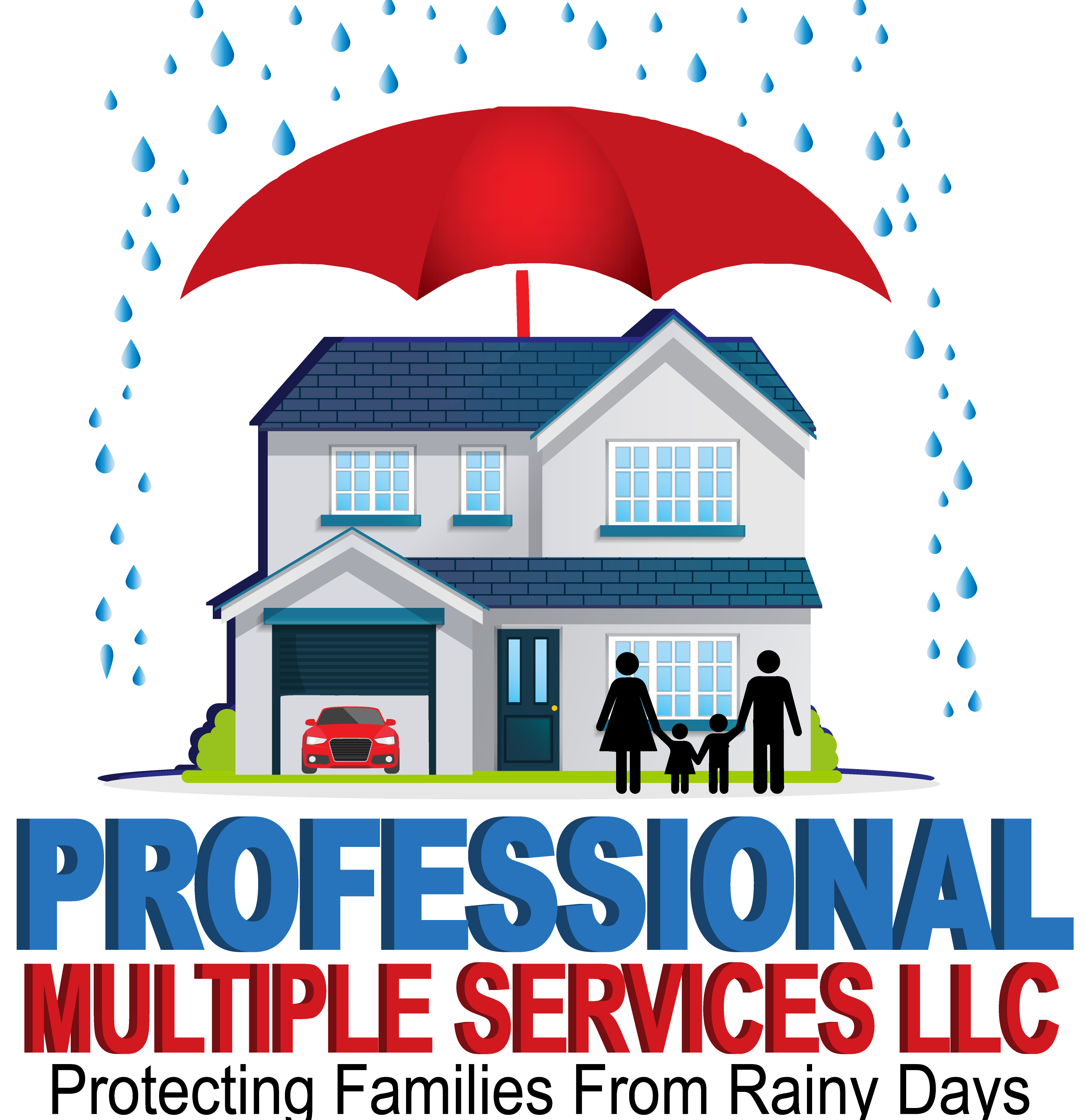 PROFESSIONAL MULTIPLE SERVICES