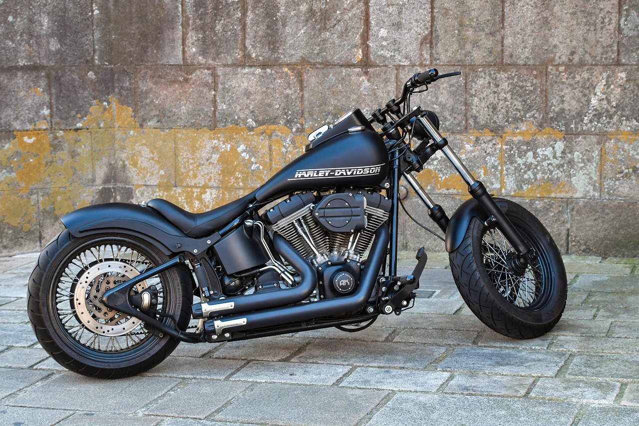 motorcycle, harley davidson, vehicle