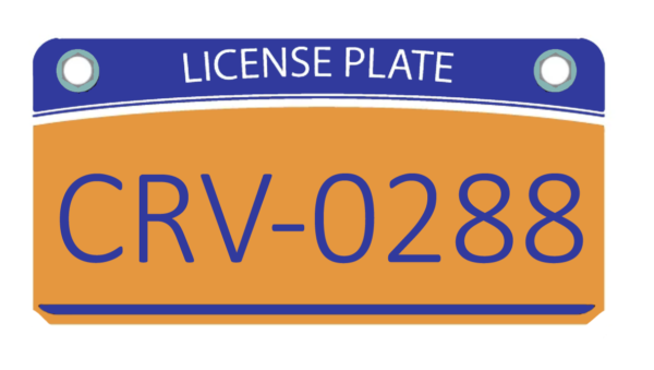 Replacement NYS License Plates Service